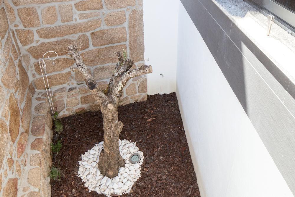Casas Do Patio Country Houses & Nature 칼다스다펠구에이라 외부 사진